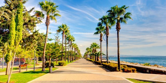 setting up a company in cyprus